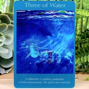 The Three of Water Tarot Card