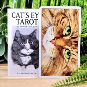 Cat's Eye Tarot Cards by Debra M Givin - Guidebook and back of cards