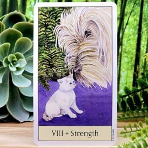 Strength Tarot Card