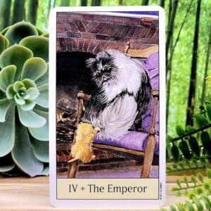 Cat's Eye Tarot Cards by Debra M Givin - The Emperor