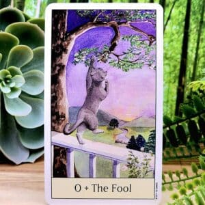 Cat's Eye Tarot Cards by Debra M Givin - The Fool