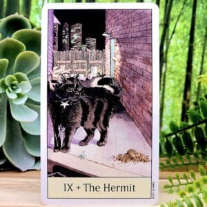 The Hermit Tarot Card