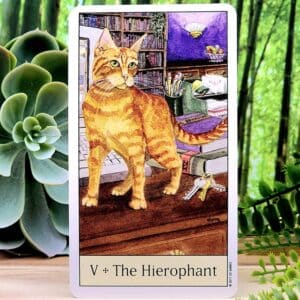 Cat's Eye Tarot Cards by Debra M Givin - The Hierophant