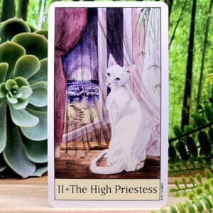 Cat's Eye Tarot Cards by Debra M Givin - The High Priestess