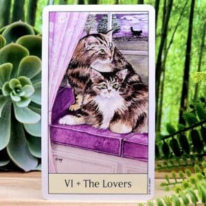 Cat's Eye Tarot Cards by Debra M Givin - The Lovers