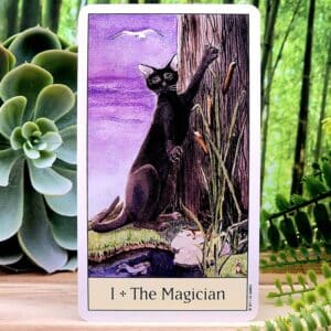 Cat's Eye Tarot Cards by Debra M Givin - The Magician