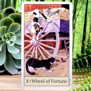 The Wheel of Fortune Tarot Card