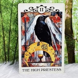 Crow Tarot by MJ Cullinane