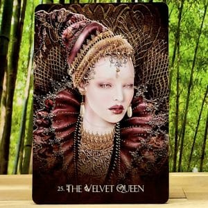 The Velvet Queen