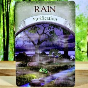 Rain - Purification