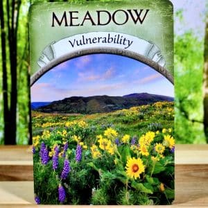 Meadow - Vulnerability