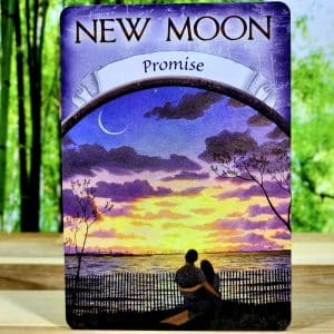 Earth Magic Oracle Cards by Steven Farmer - new Moon