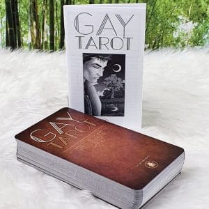 Gay Tarot Deck and Guidebook by Lee Bursten