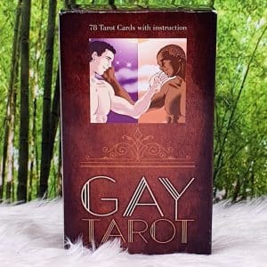 Gay Tarot Deck and Guidebook by Lee Bursten Back Cover