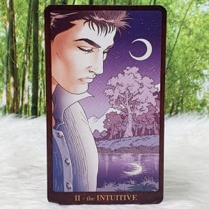 Gay Tarot Deck and Guidebook by Lee Bursten - The Intuitive