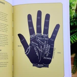 In Focus Palmistry by Roberta Vernon - picture of lines of the hand