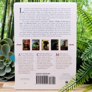 Mystical Shaman Oracle Cards - Back Cover