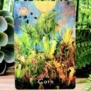 The Corn Card