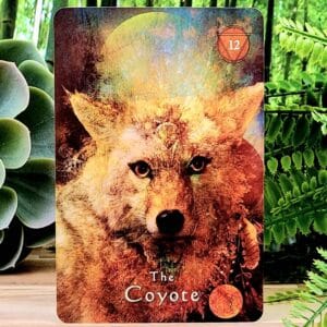 The Coyote Card