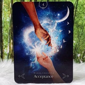 Queen of the Moon Oracle Cards by Stacey Demarco Acceptance