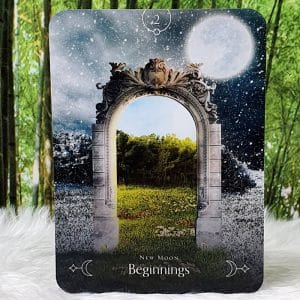 Queen of the Moon Oracle Cards by Stacey Demarco Beginnings