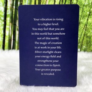 Spirit Oracle Guidance Cards 3rd Edition by Toni Carmine Salerno - Silver Vibrations Meaning