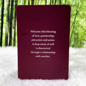 Spirit Oracle Guidance Cards 3rd Edition by Toni Carmine Salerno - Soul Mate Meaning