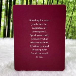 Spirit Oracle Guidance Cards 3rd Edition by Toni Carmine Salerno - Speak Your Truth Meaning