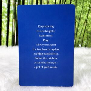 Spirit Oracle Guidance Cards 3rd Edition by Toni Carmine Salerno - The Journey Meaning