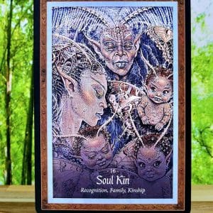 The Faery Forest Oracle Cards by Lucy Cavendish - Soul Kin