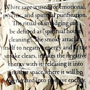 white sage description