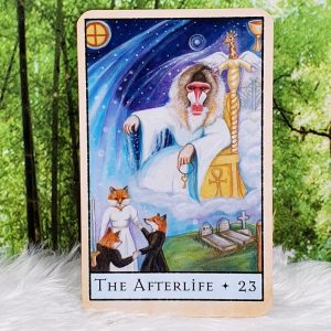 The Bohemian Animal Tarot by Scott Alexander King