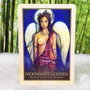 Gaia Oracle Guidance and Affirmation Cards by Toni Carmine Salerno - Moonlight Goddess