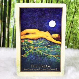 Gaia Oracle Guidance and Affirmation Cards by Toni Carmine Salerno - The Dream