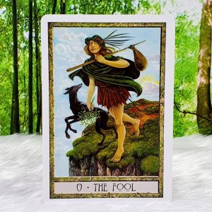 Druid Craft Tarot Set by Phillip and Stephanie Carr-Gomm, Illustrated by Will Worthington