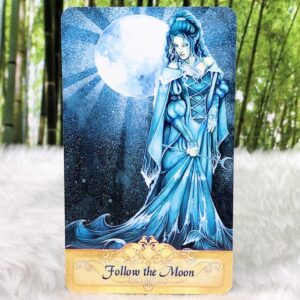 Messenger Oracle Cards and Guidebook by Ravynne Phelan - Follow the Moon