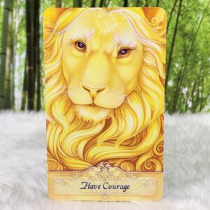 Messenger Oracle Cards and Guidebook by Ravynne Phelan - Have Courage