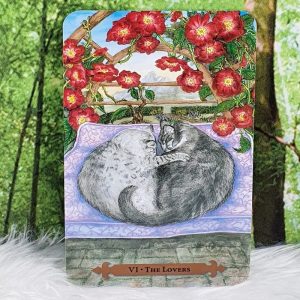 Mystical Cats Tarot Cards by Lunaea Weatherstone