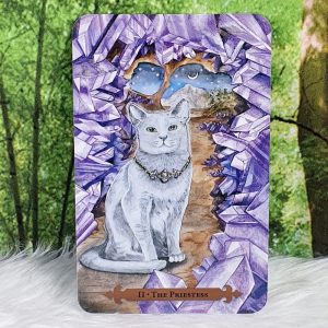 Mystical Cats Tarot Cards by Lunaea Weatherstone