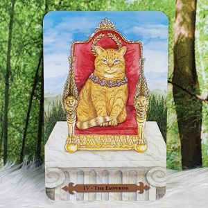 The Emperor Cat