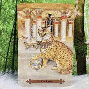 Mystical Cats Tarot Cards by Lunaea Weatherstone