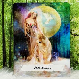 Spellcasting Oracle Cards by Peters and Meiklejohn-Free