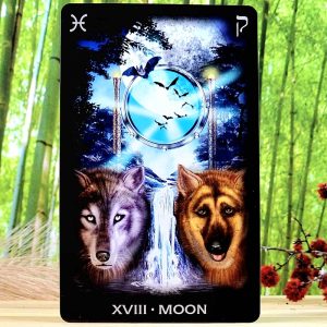 Tarot of Dreams Tarot Cards by Ciro Marchetti - Moon