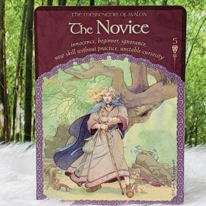 The Novice