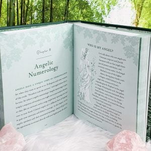 The Witch's Way Hardcover Book by Shawn Robbins and Leanna Greenaway Angelic Numerology