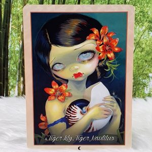 Myths and Mermaids Oracle Cards by Jasmine Becket-Griffith - Tiger Lily Tiger Nautilus