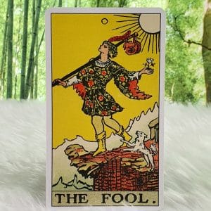 RWS Tarot by Pamela Colman Smith Centenary Edition The Fool