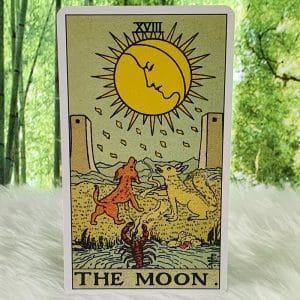 The Moon Card