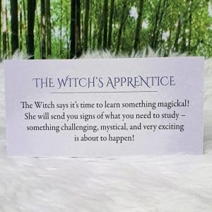 The Witch's Apprentice