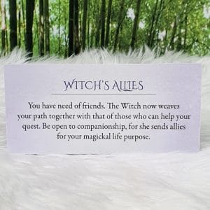 Witch's Allies